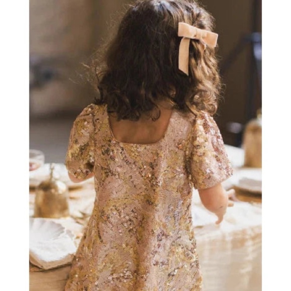 Noralee || Girls Daisy Dress Bronze Sequins